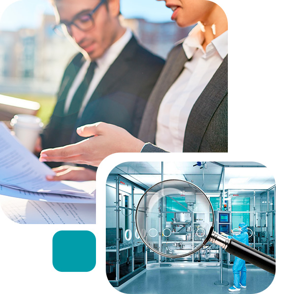 Asesoría regulatoria y ejecución de auditorías